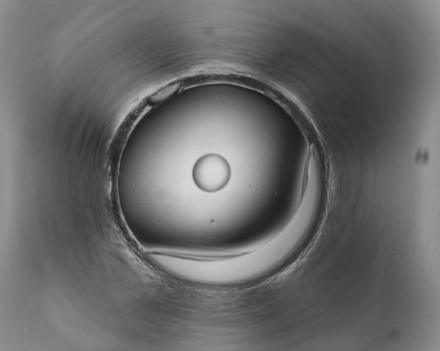 X0000112000973200908171415