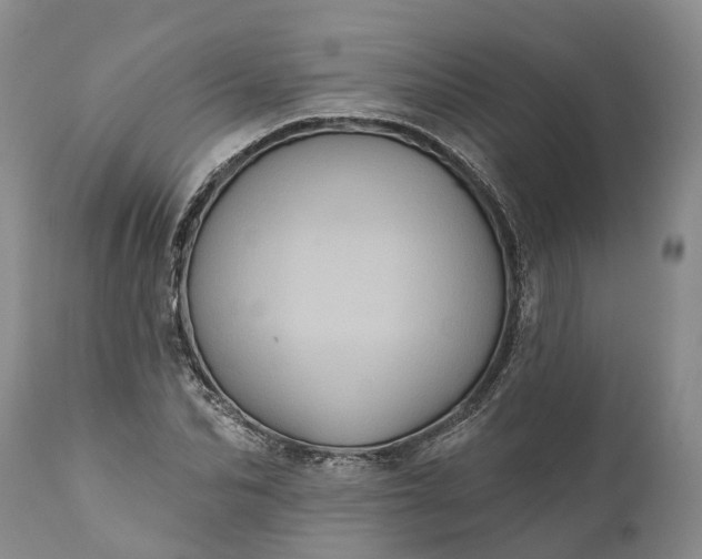 X0000112000974200908171415