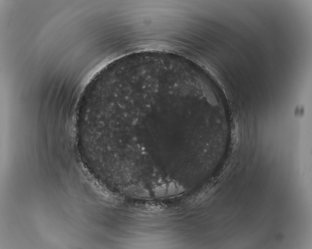 X0000112000975200908171415