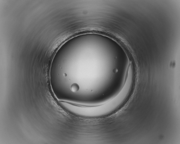 X0000112000977200908171415