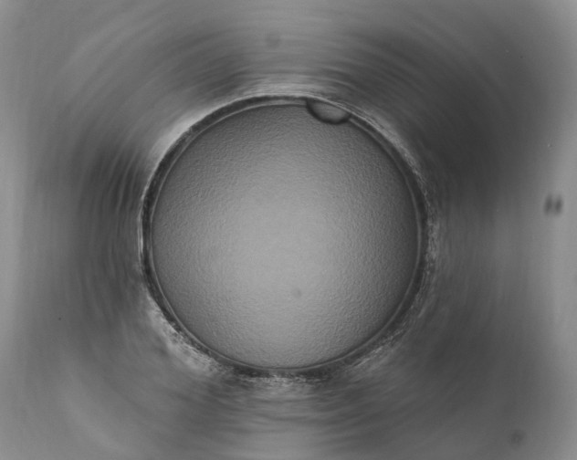 X0000112000980200908171415