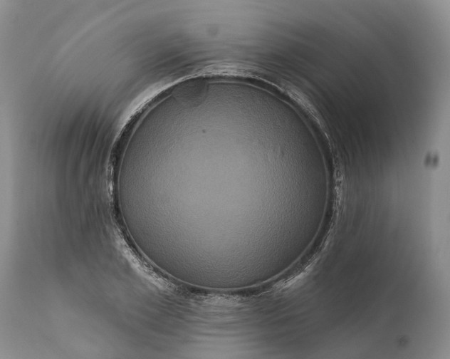 X0000112000981200908171415