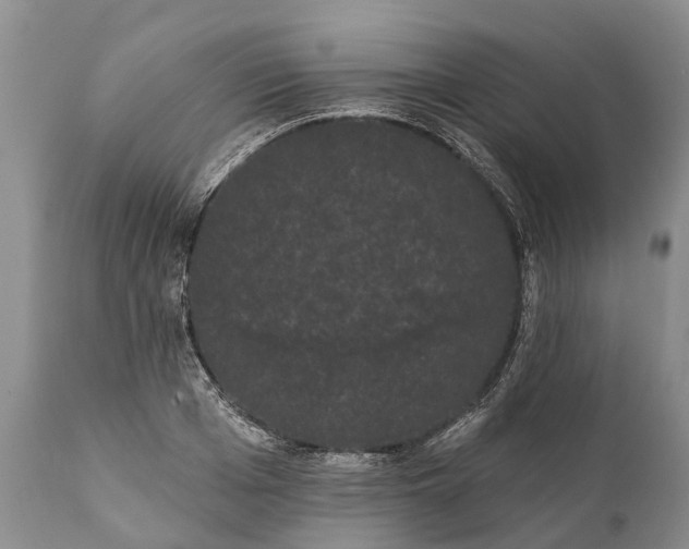 X0000112000985200908171415