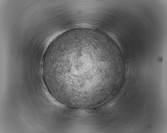 X0000112000987200908171415