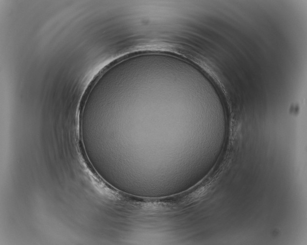 X0000112000988200908171415