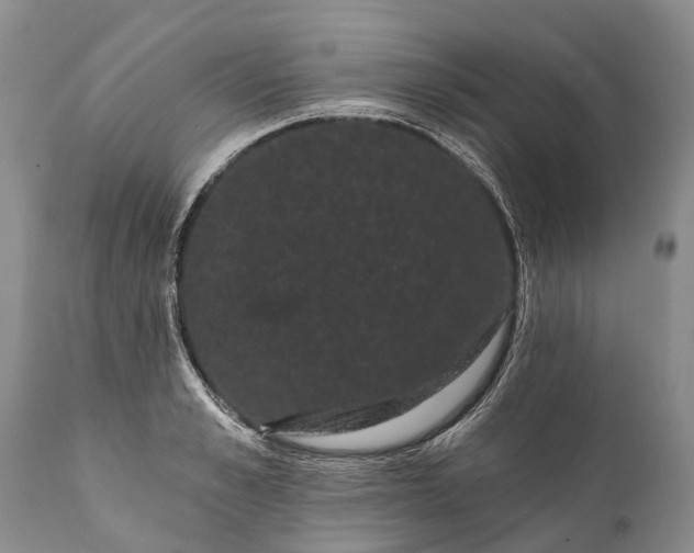 X0000112000989200908171415