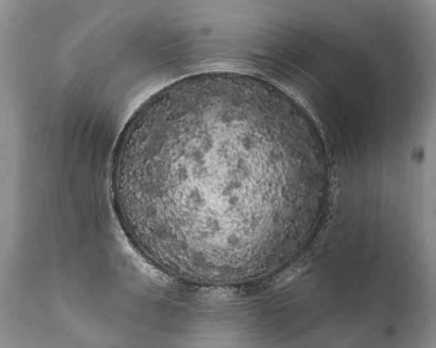 X0000112000991200908171415