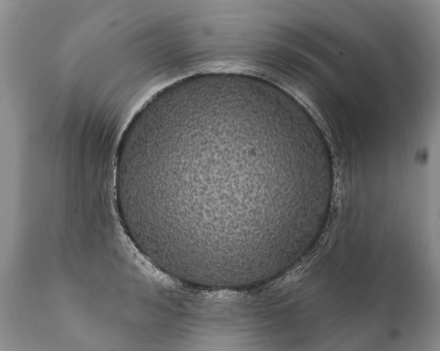 X0000112000992200908171415