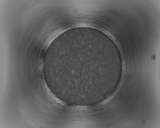 X0000112000993200908171415