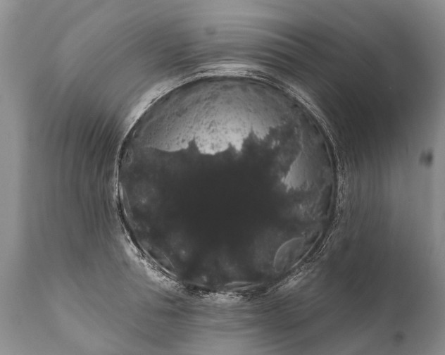 X0000112000994200908171415