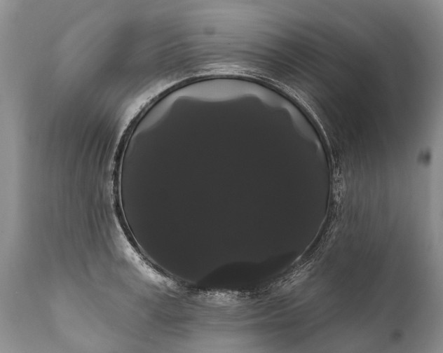 X0000112000995200908171415