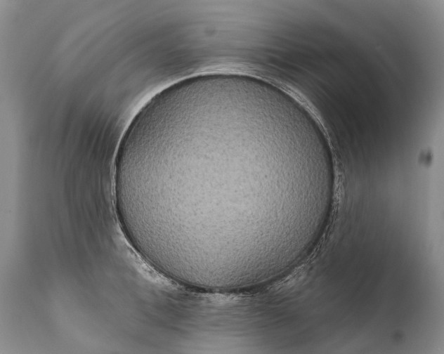 X0000112000996200908171415