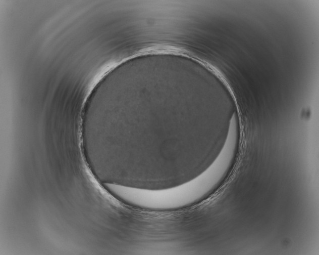 X0000112000997200908171415