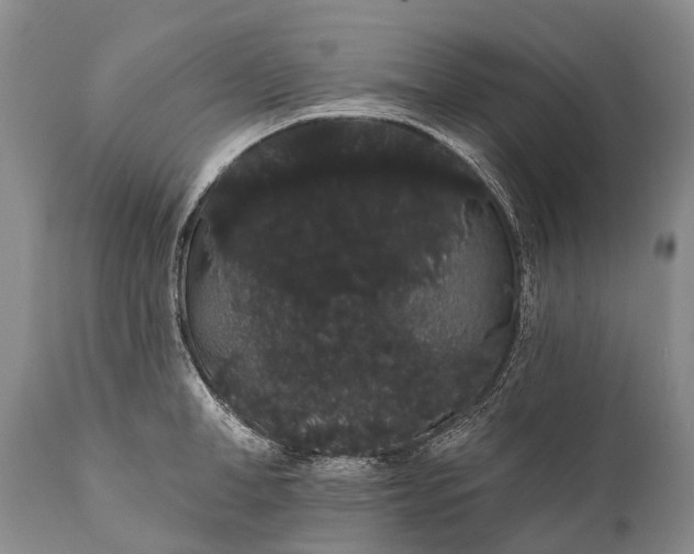 X0000112000998200908171415