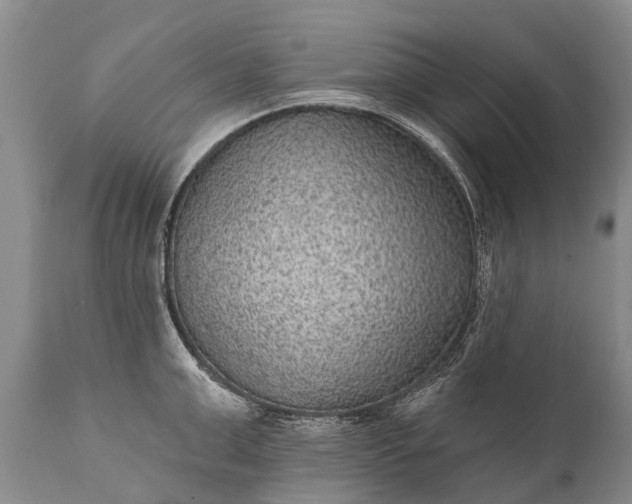 X0000112000999200908171415