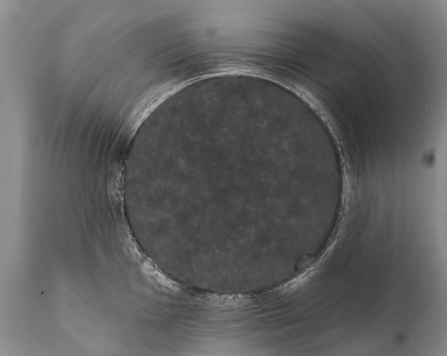 X0000112001001200908171415