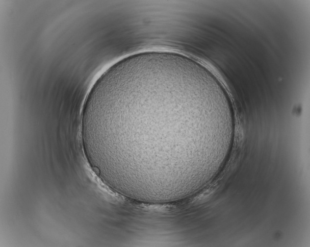 X0000112001004200908171415