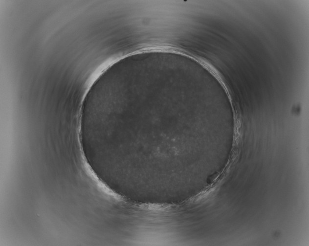 X0000112001005200908171415