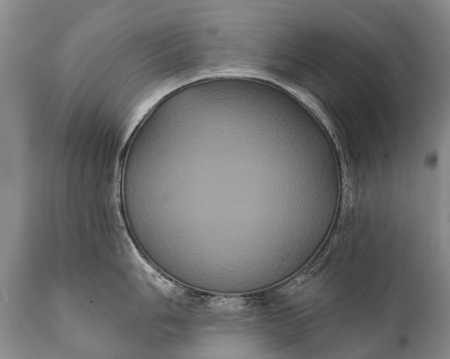 X0000112001006200908171415