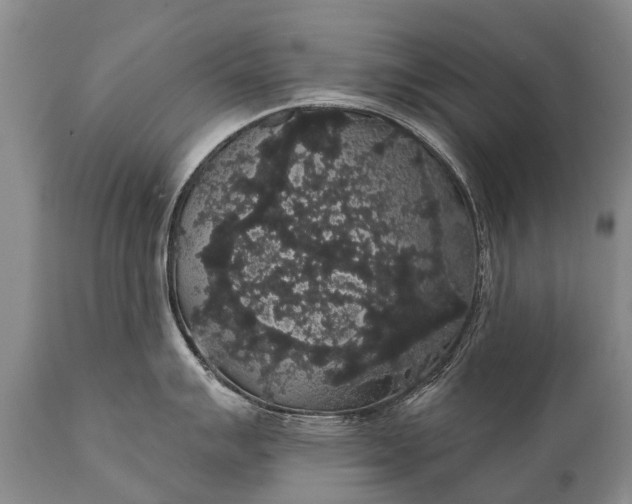 X0000112001007200908171415