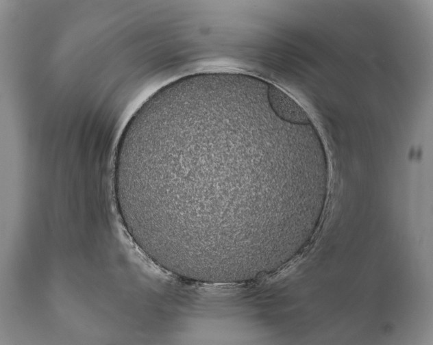 X0000112001008200908171415