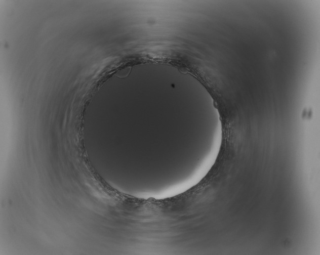 X0000112001009200908171414