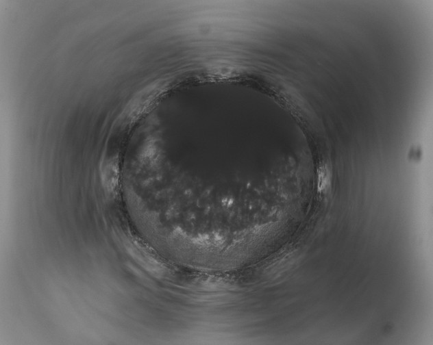 X0000112001011200908171414