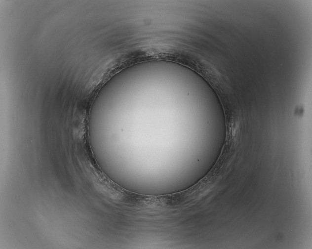 X0000112001012200908171414