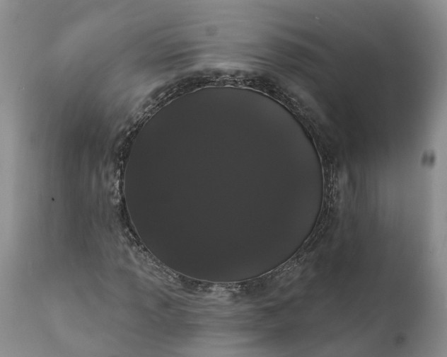 X0000112001013200908171414