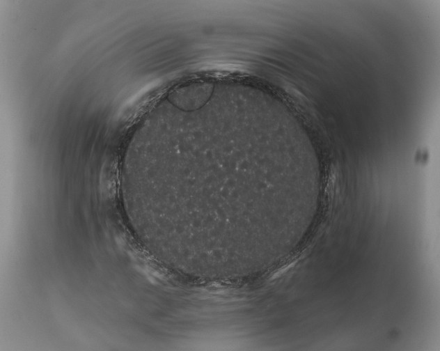 X0000112001014200908171414