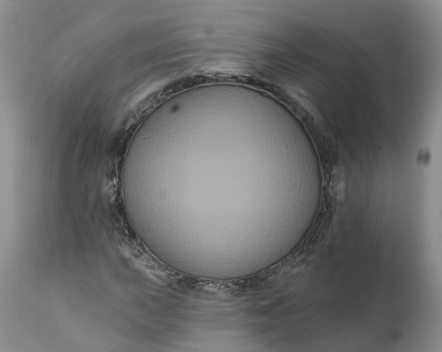 X0000112001015200908171414