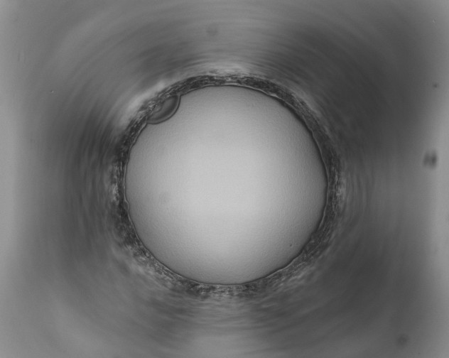 X0000112001016200908171414