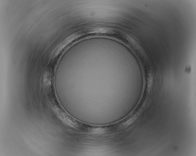 X0000112001017200908171414