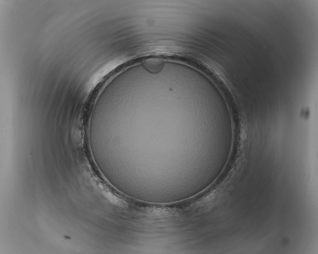 X0000112001018200908171414