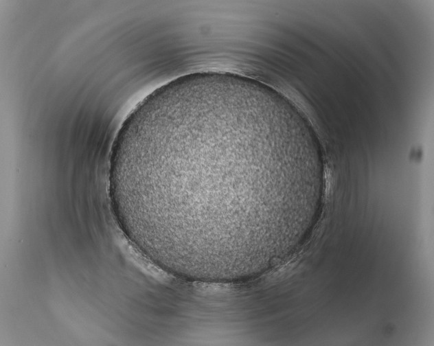 X0000112001020200908171414