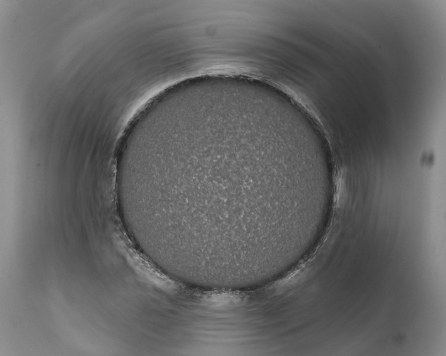 X0000112001021200908171414