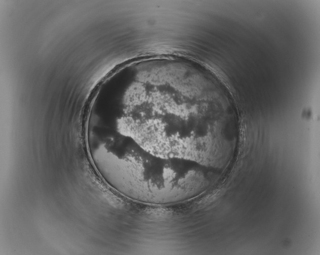 X0000112001023200908171414