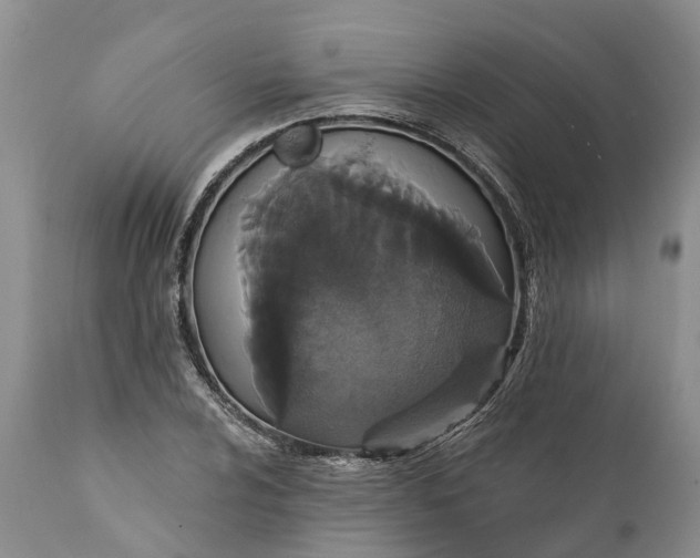 X0000112001024200908171414