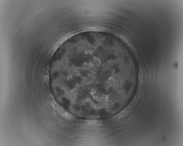 X0000112001025200908171414