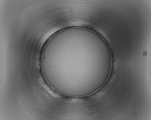 X0000112001026200908171414