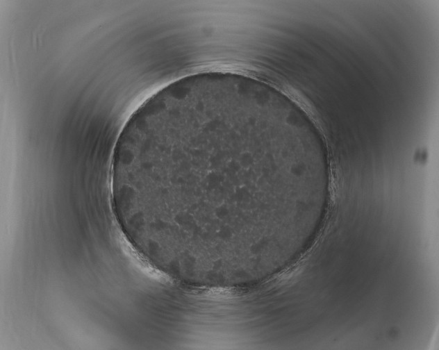 X0000112001028200908171414