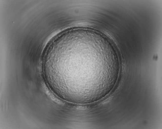 X0000112001029200908171414