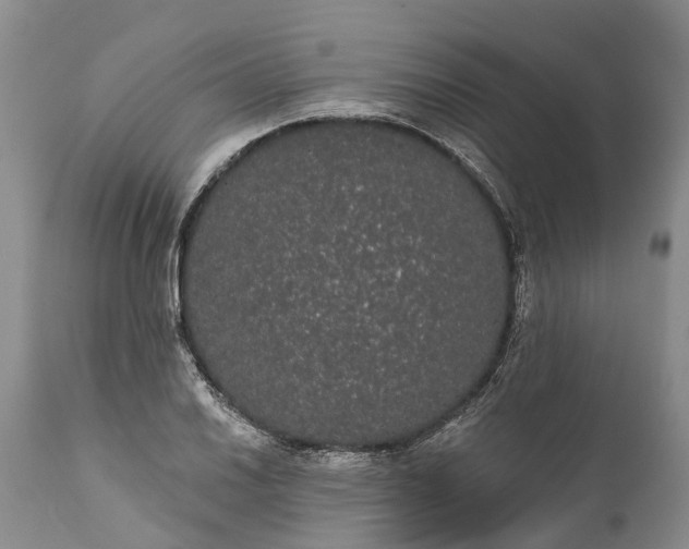 X0000112001030200908171414