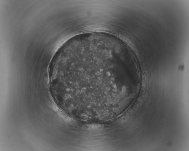 X0000112001031200908171414