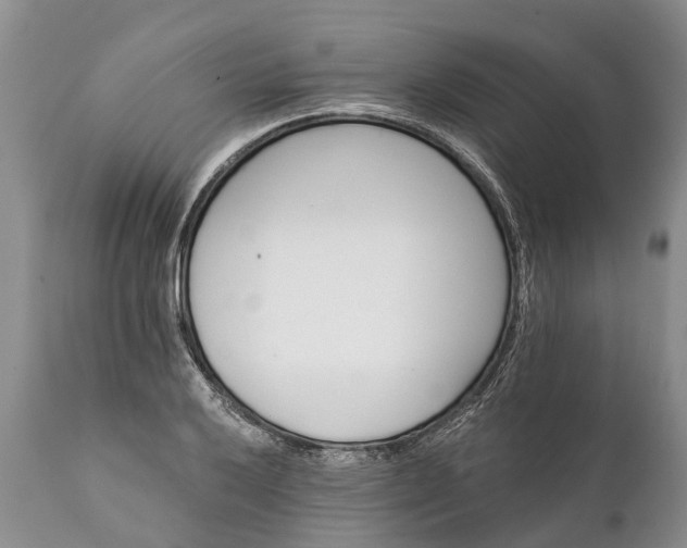 X0000112001032200908171414