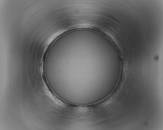 X0000112001034200908171414