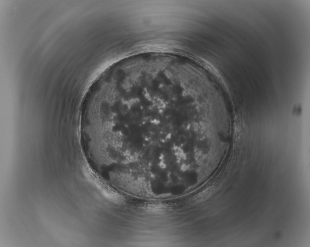 X0000112001035200908171414