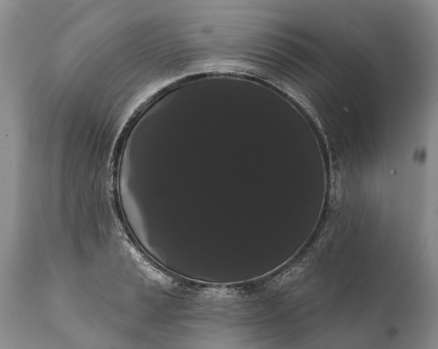 X0000112001037200908171414