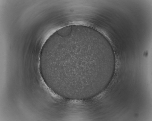 X0000112001040200908171414