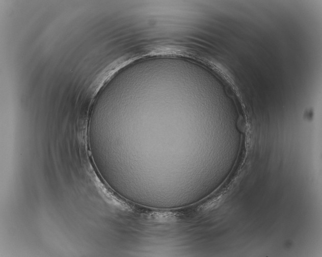 X0000112001041200908171415